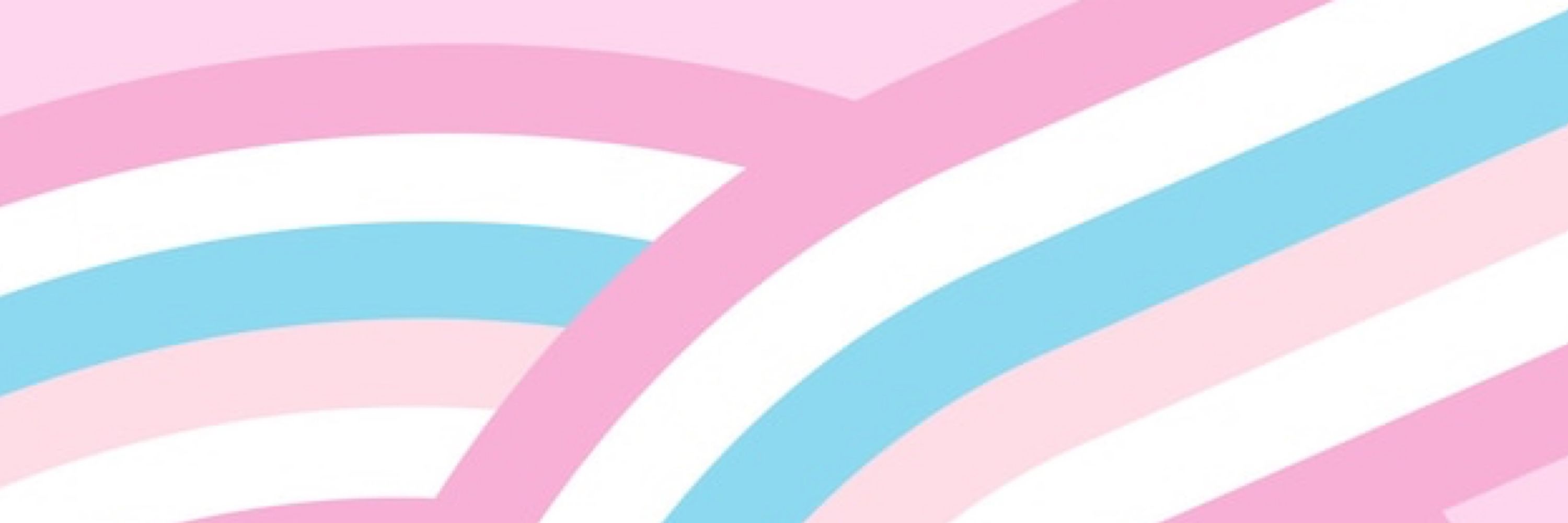 Trans Pride Birmingham