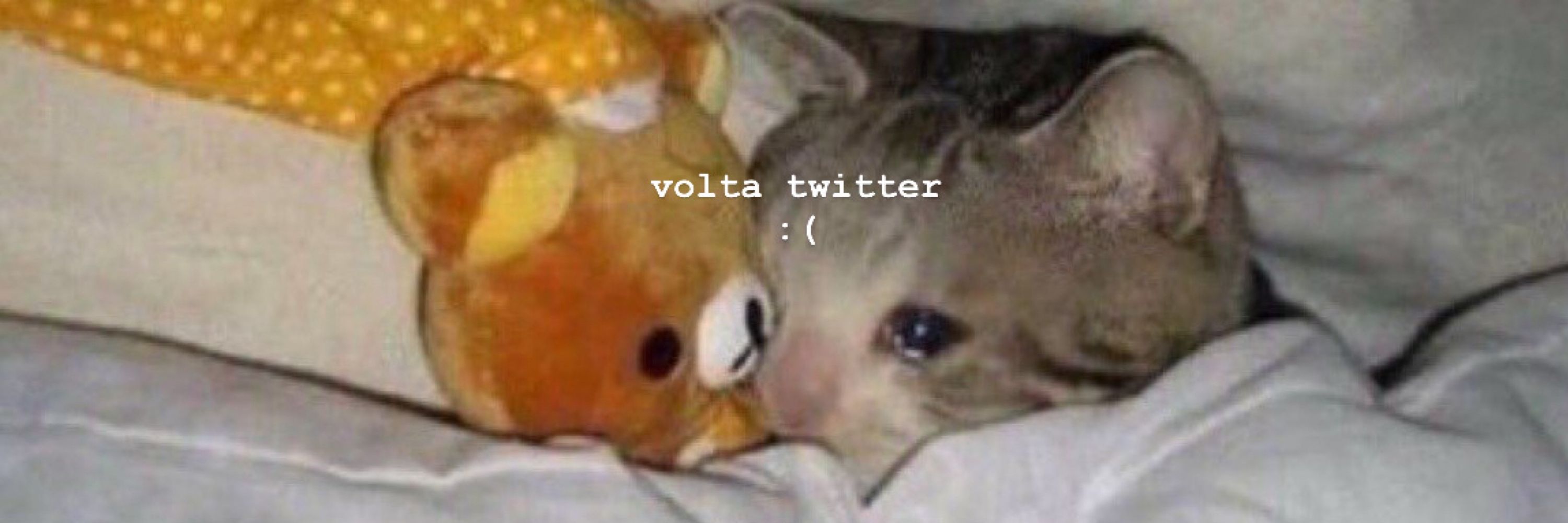 Gió