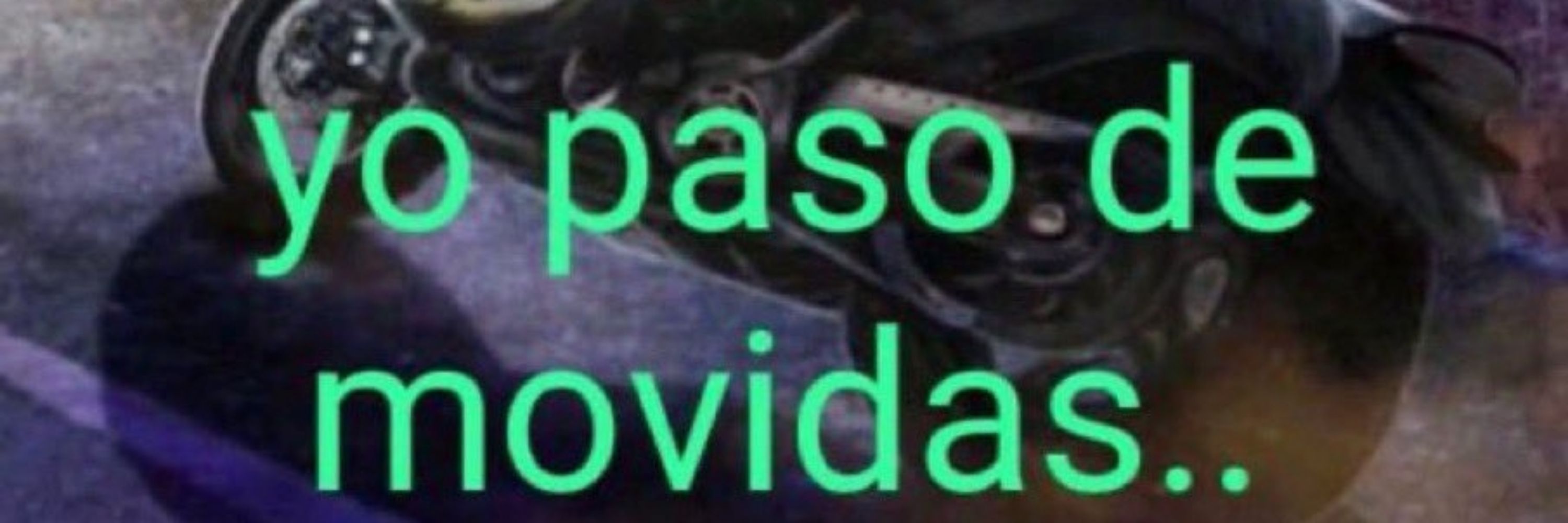 Pájaros Admirar