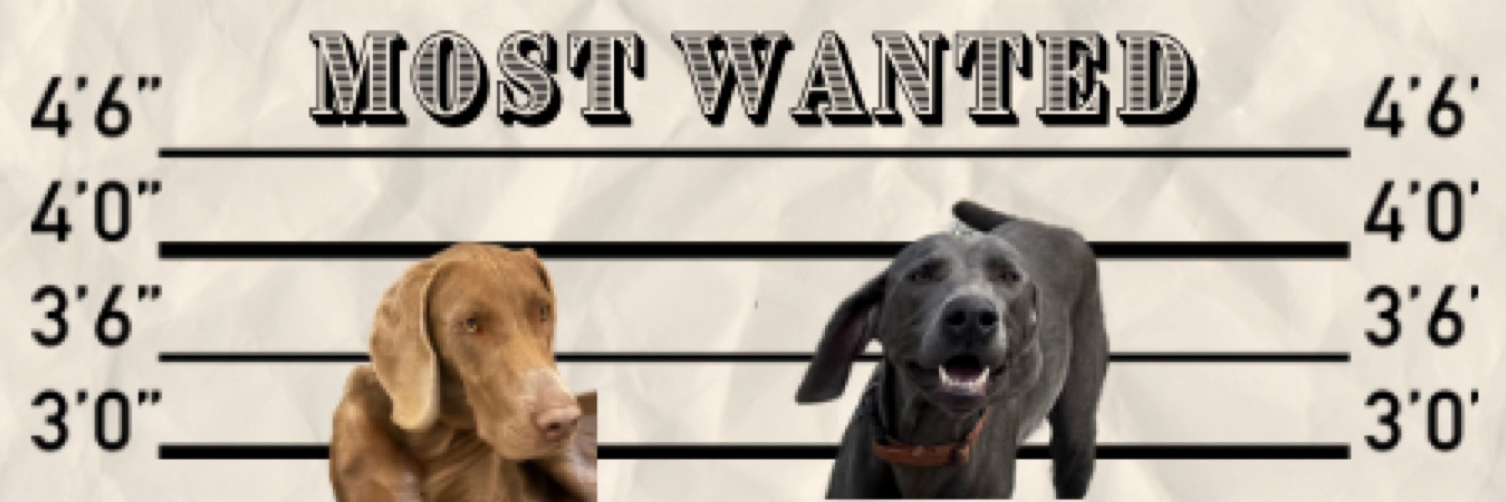 Weim Crime