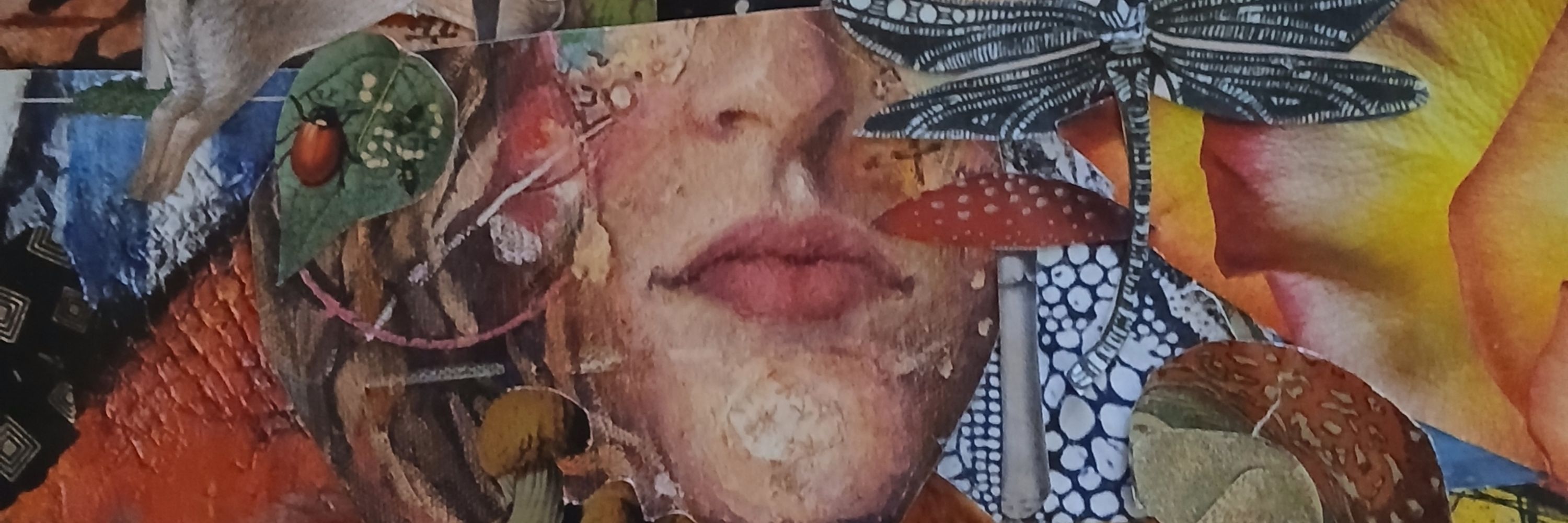 Denise McQuiston