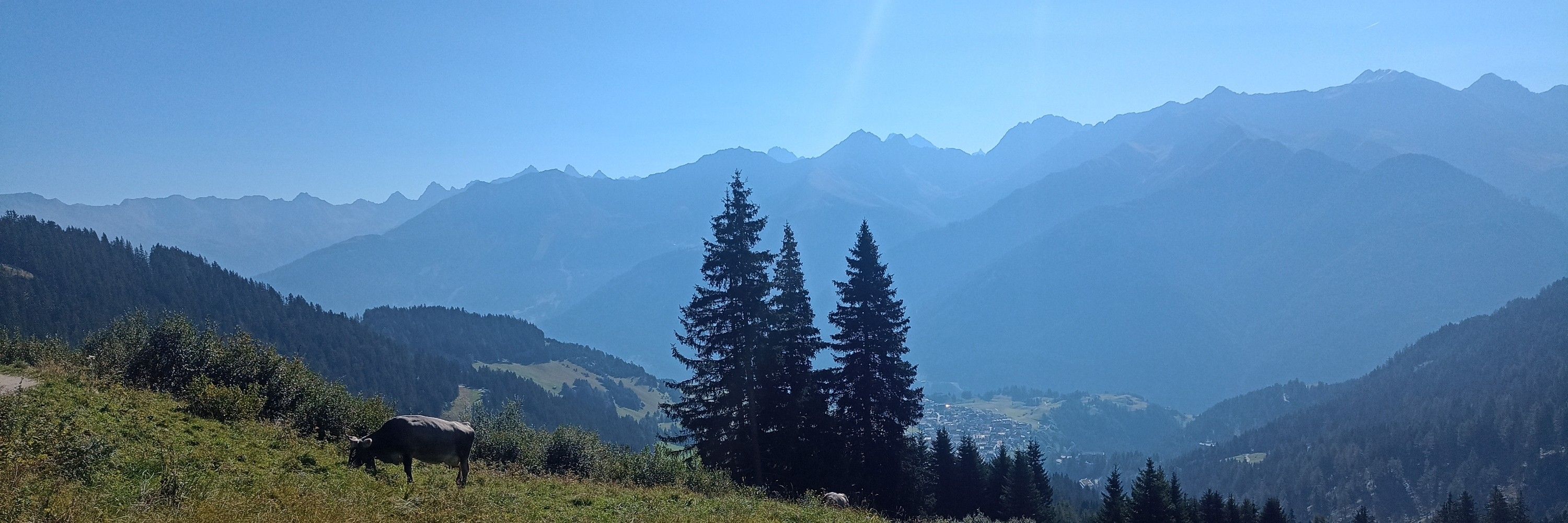 Joscha Böhnlein