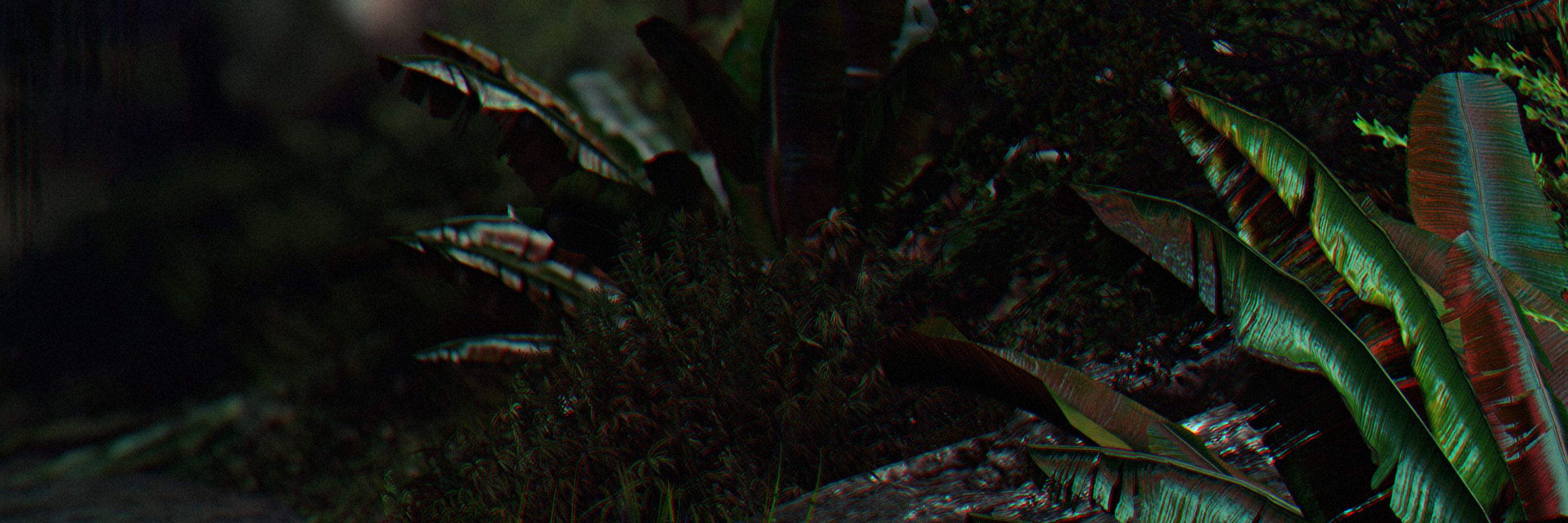 L E A F