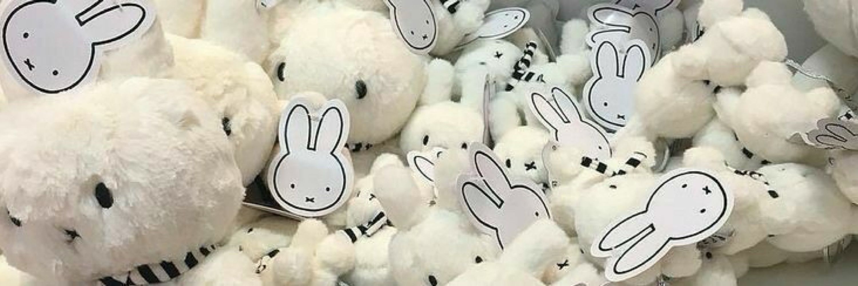 No Context Bunny