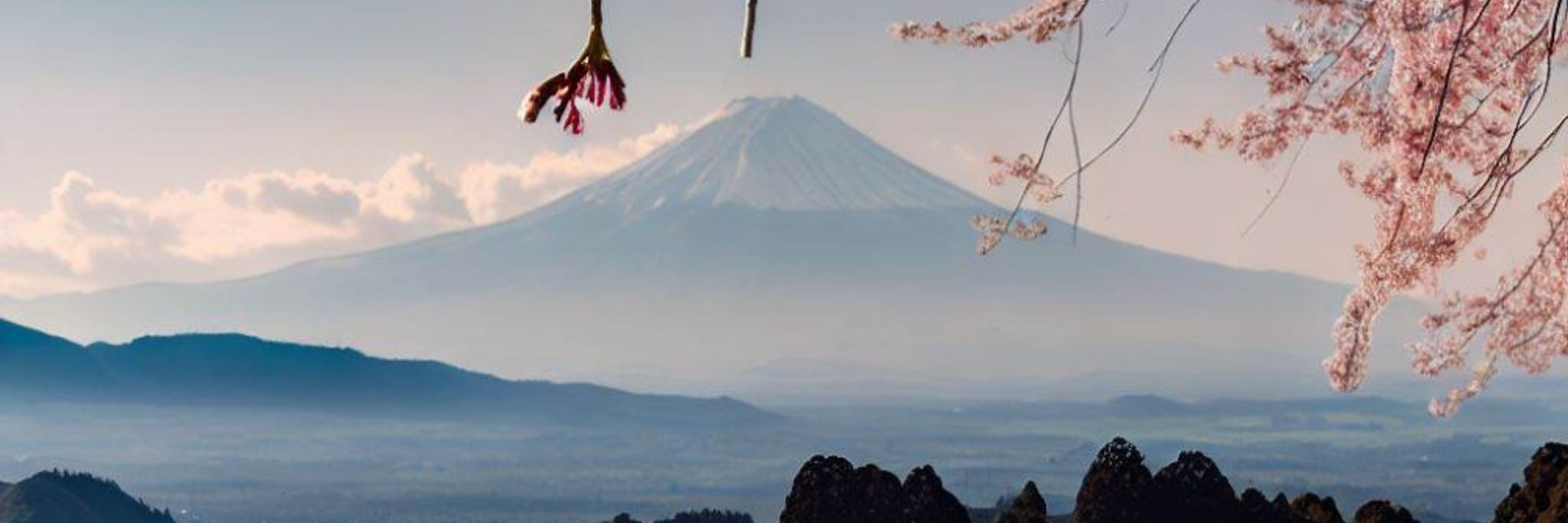 Nikujaga