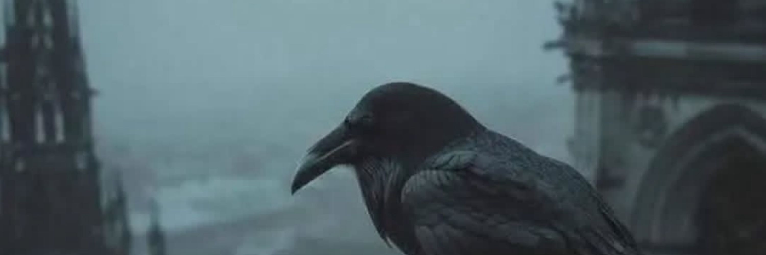 Underaveilieddarkness