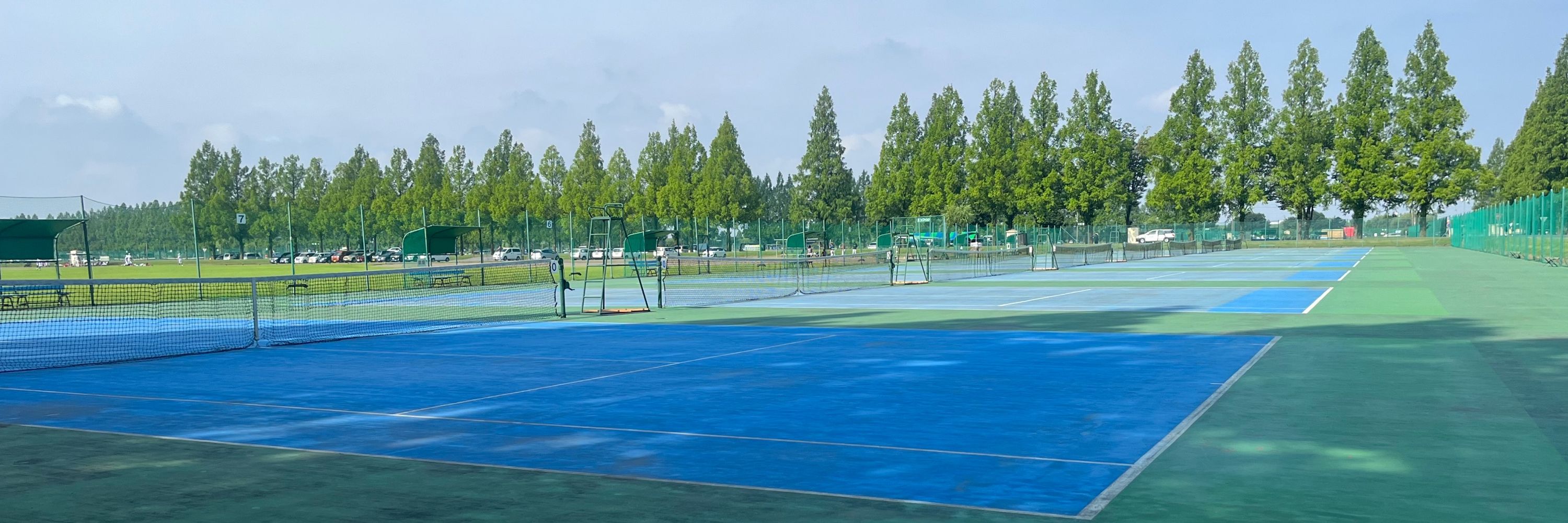 Kenichi Ebinuma | Mesh