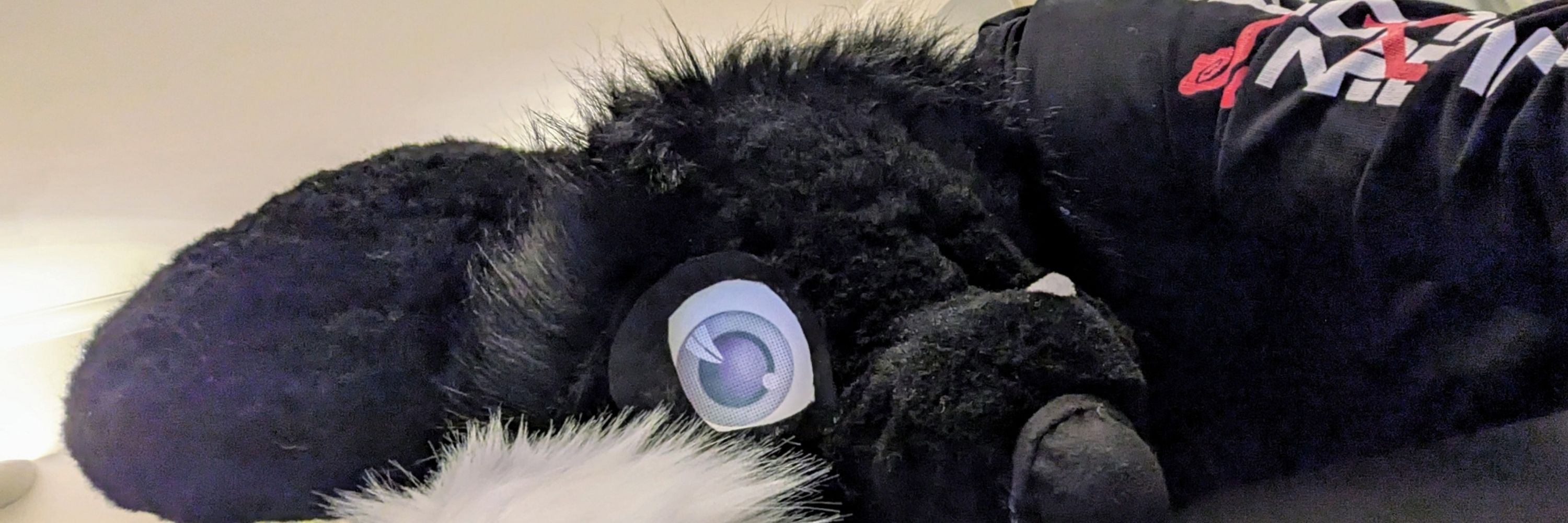 Zev