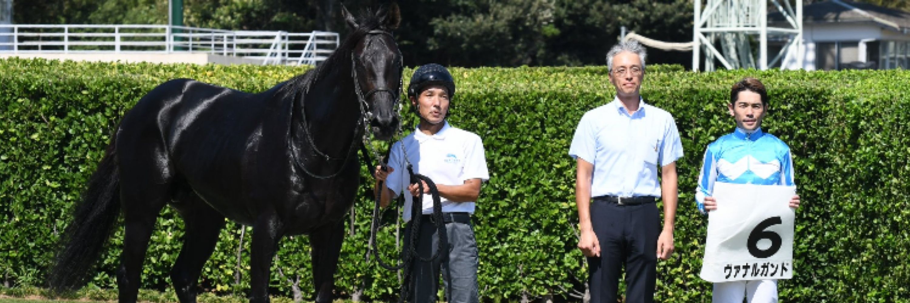 凛🐎一口馬主垢