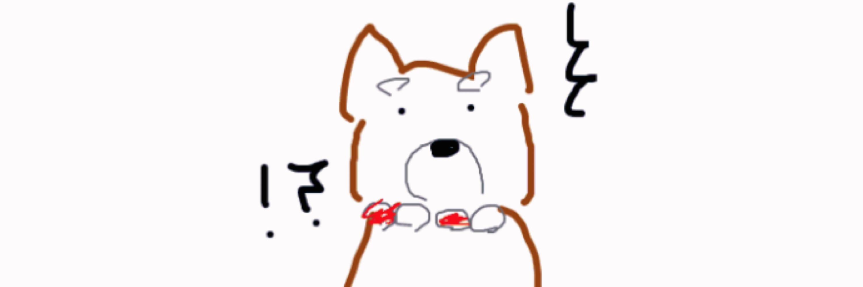 たむきち