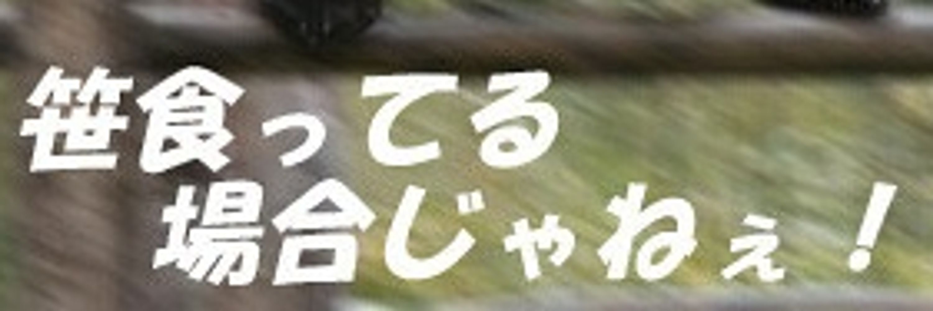 きょろ