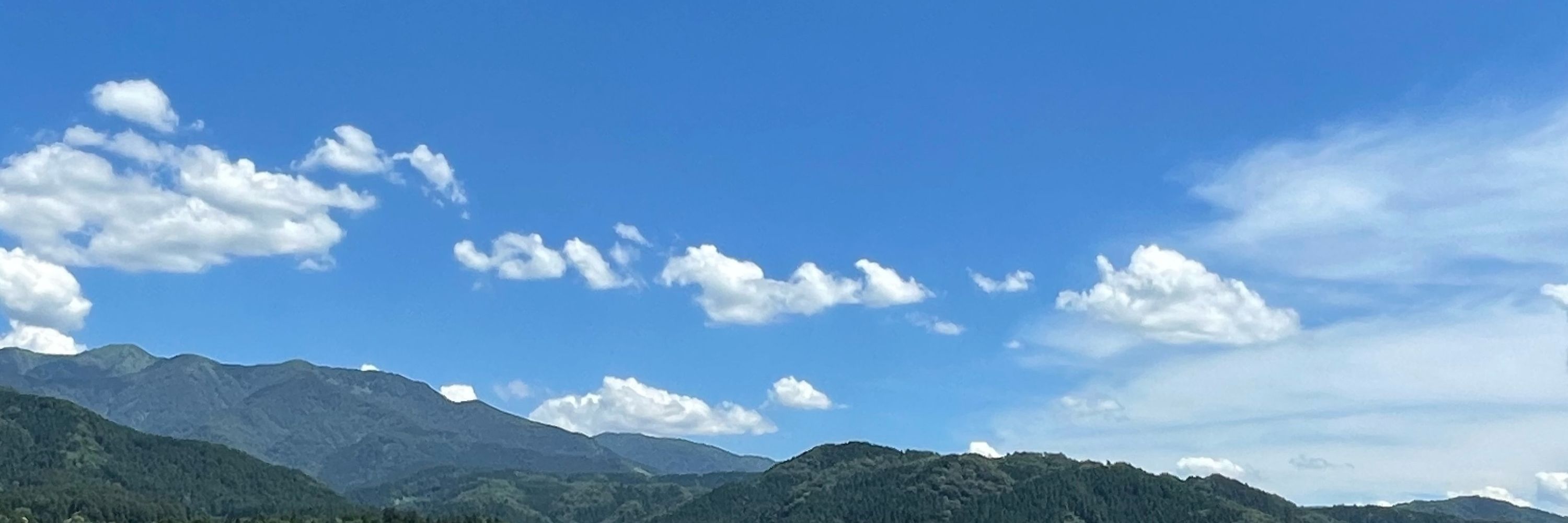 Reku