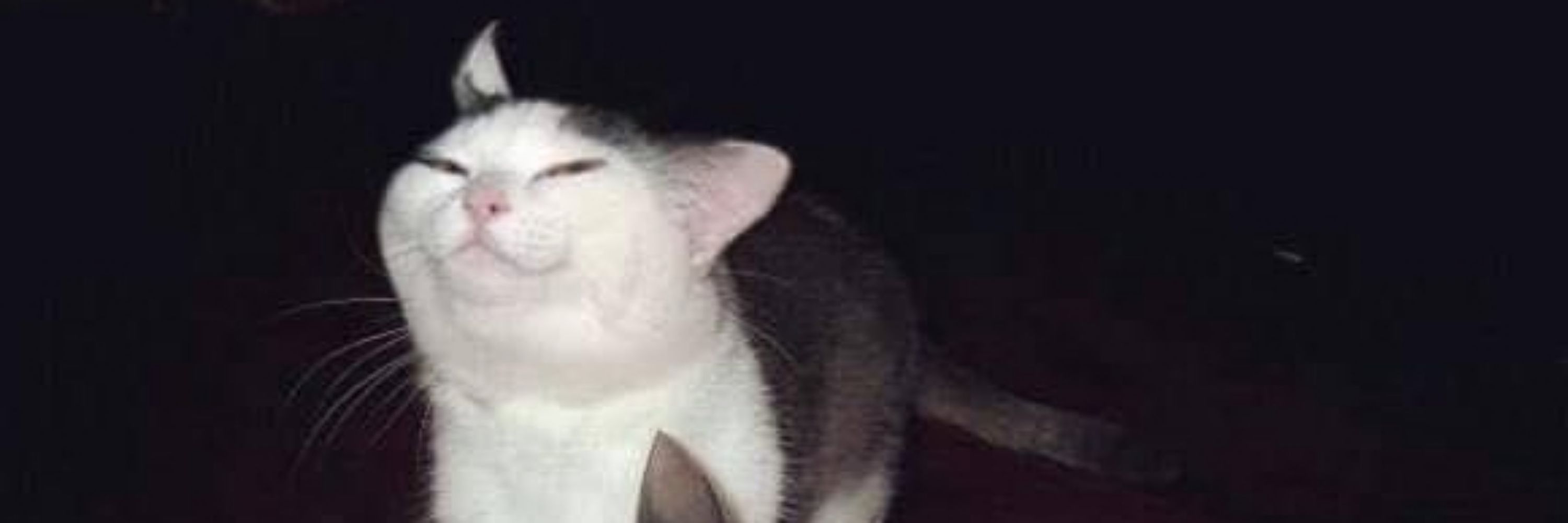 DinoMan