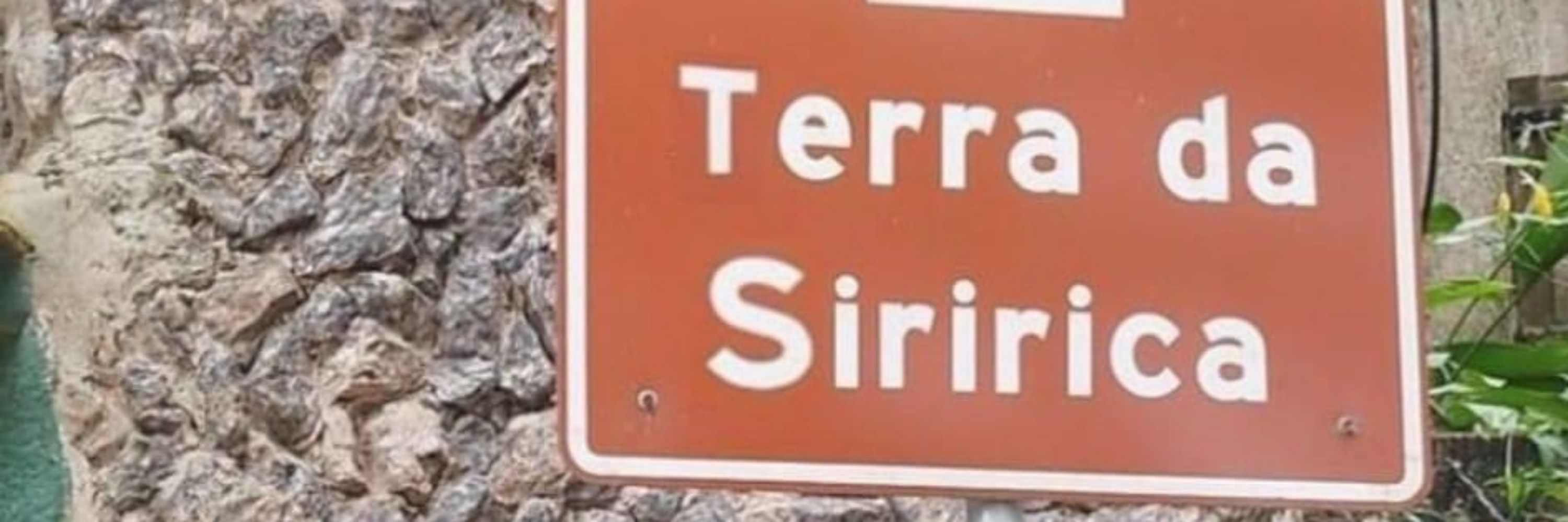 Siririca Mecânica