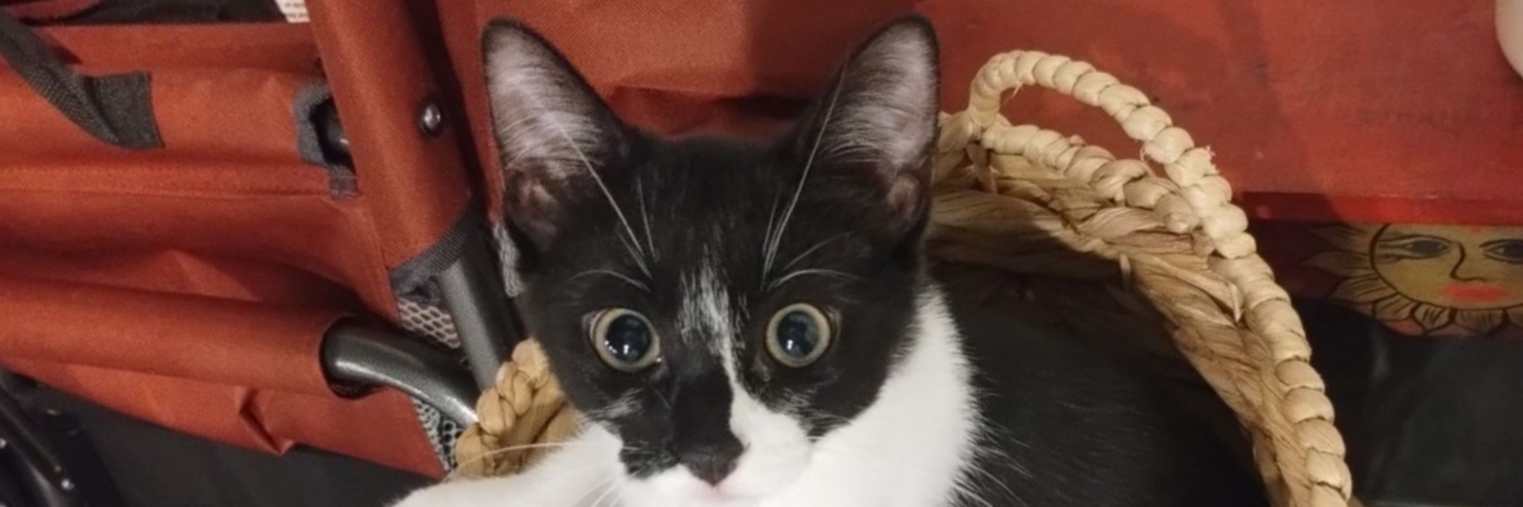 :3