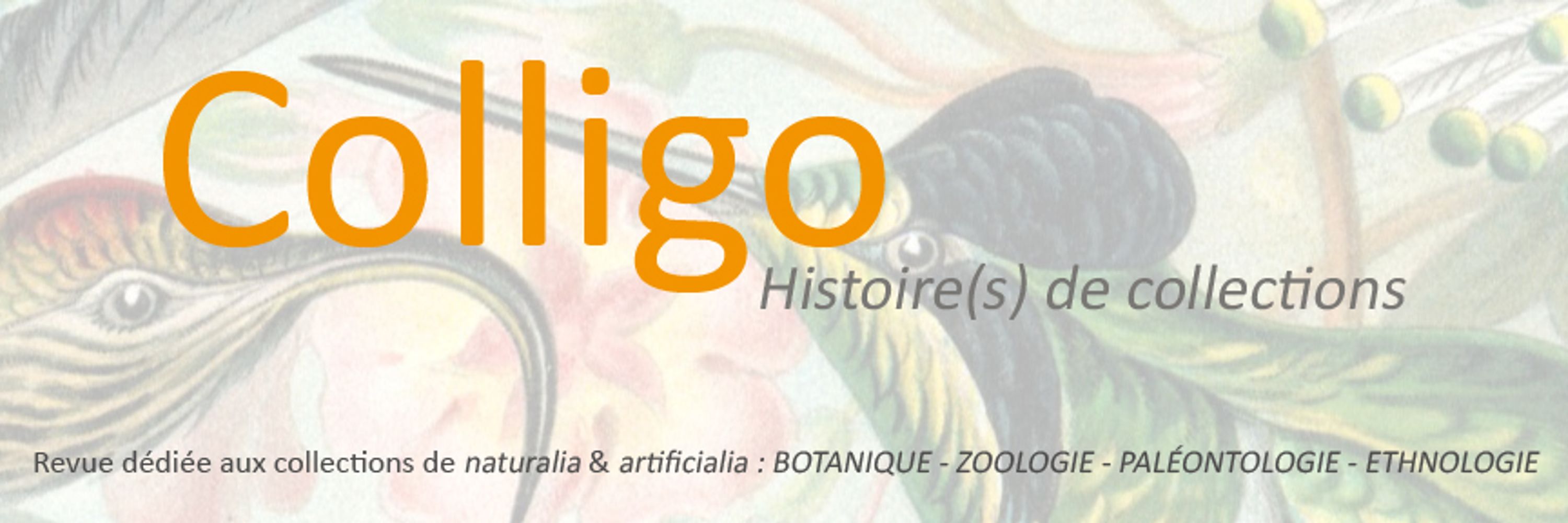 Revue Colligo