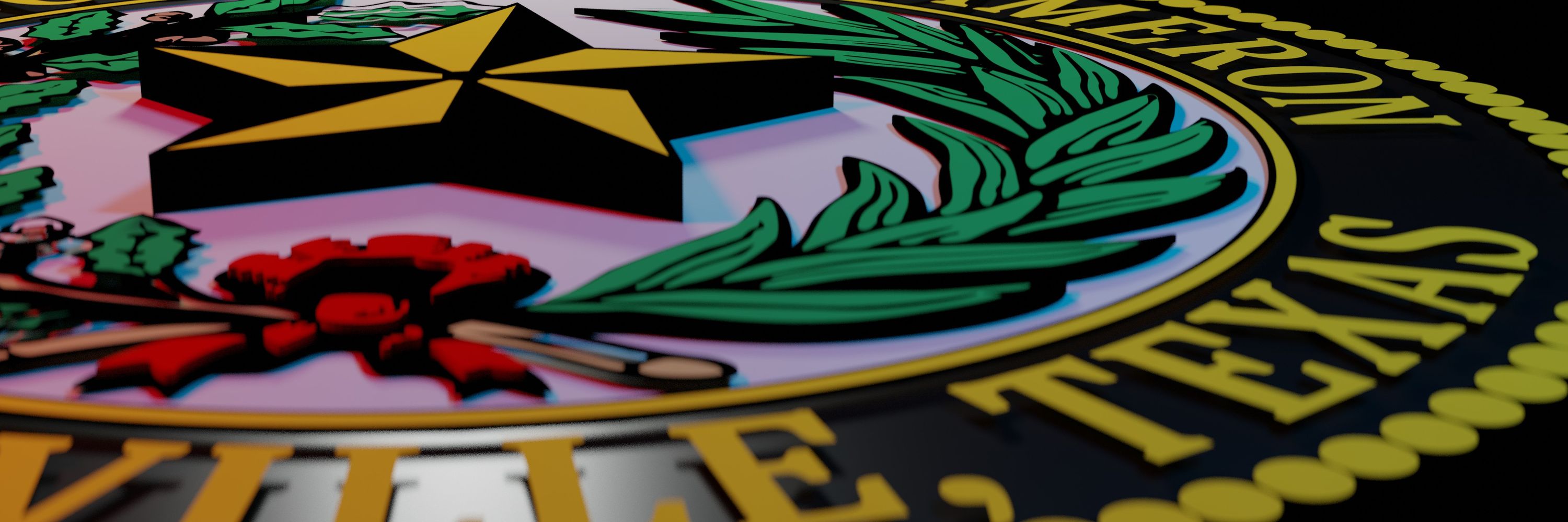Cameron County Department of Elections and Voter Registration