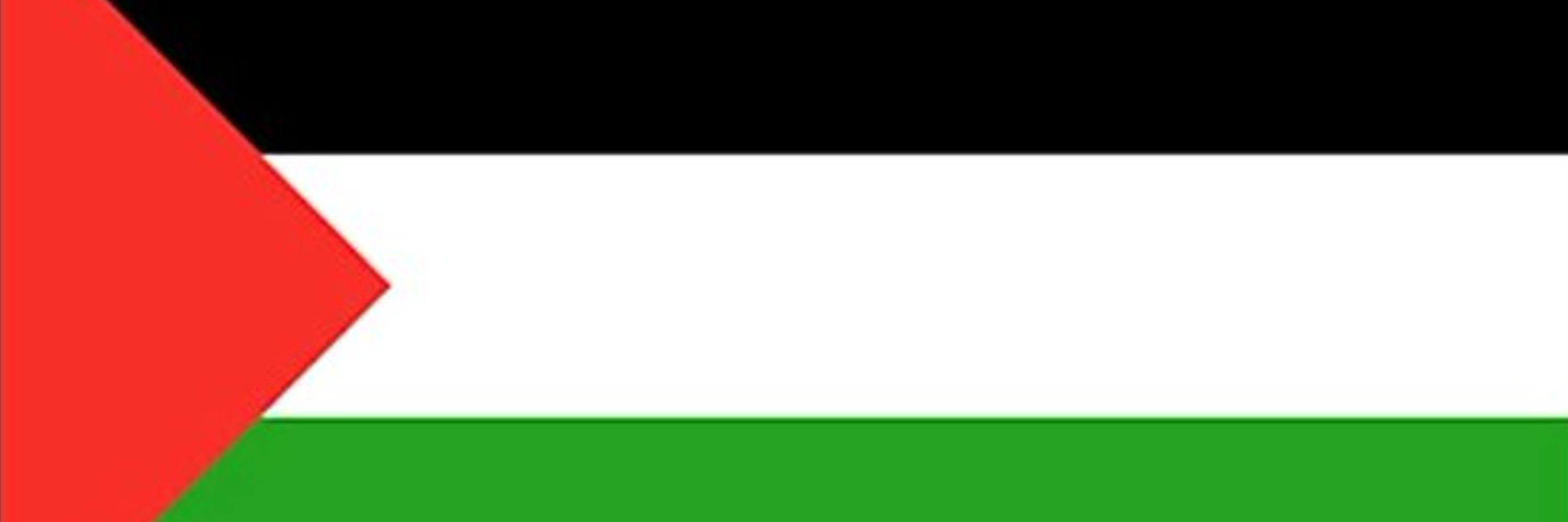 Max Langhart-United For A Nuclear Iran🍉