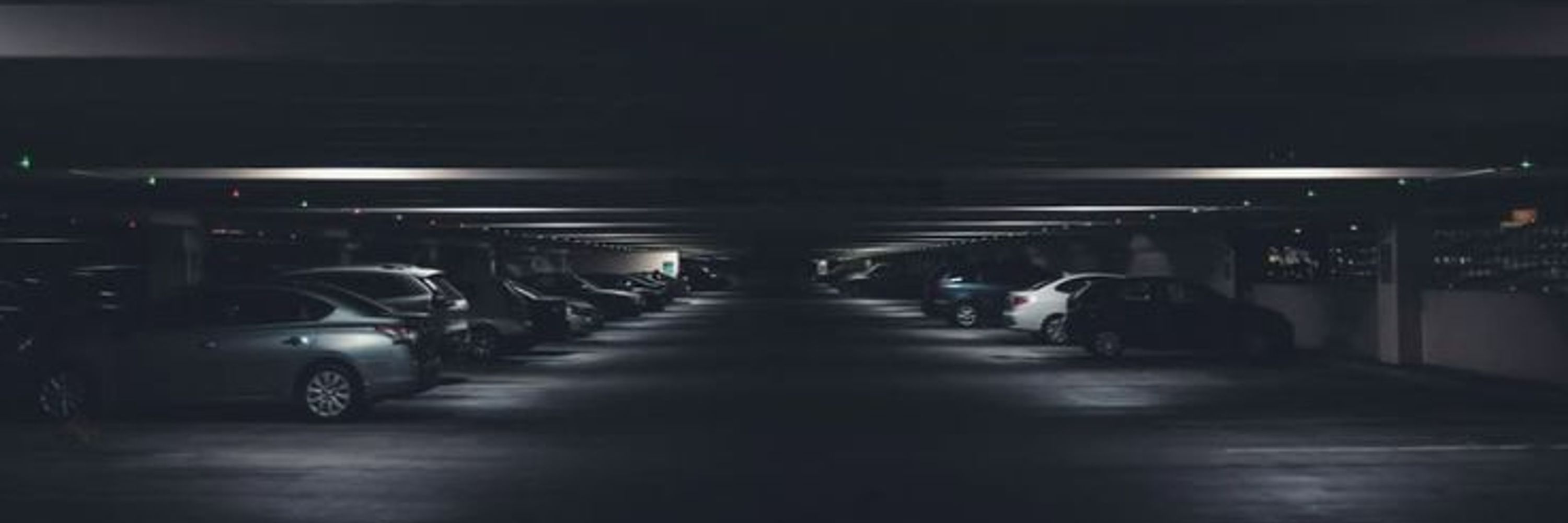 BidForAutos