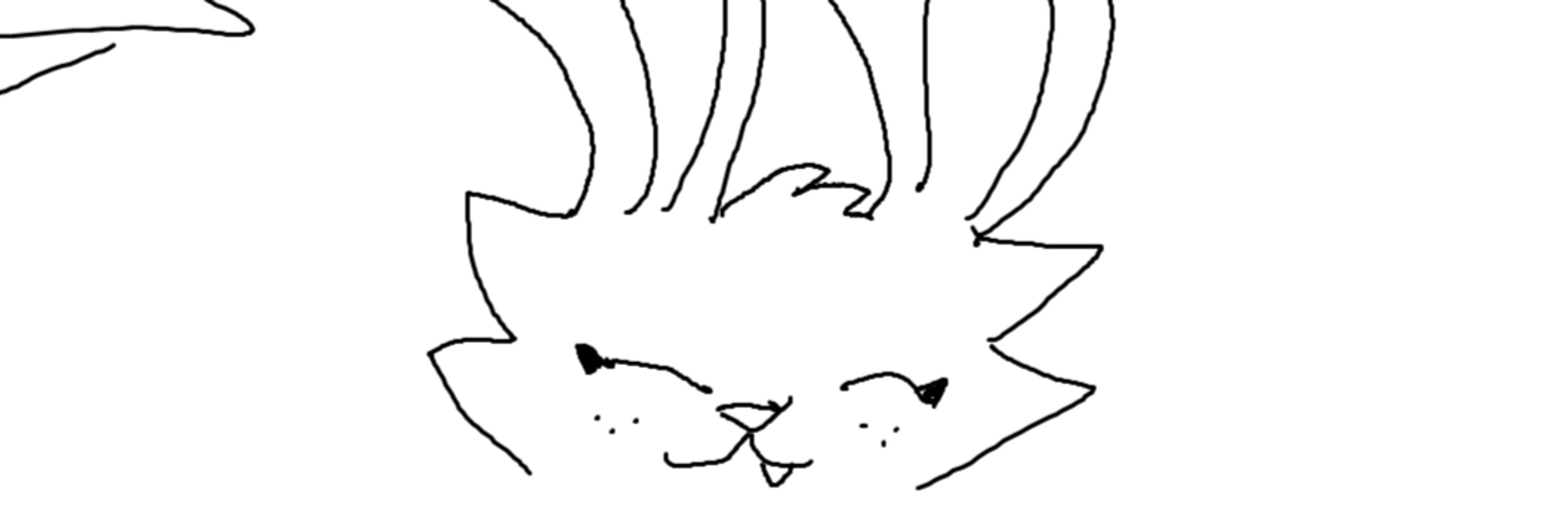 Rat