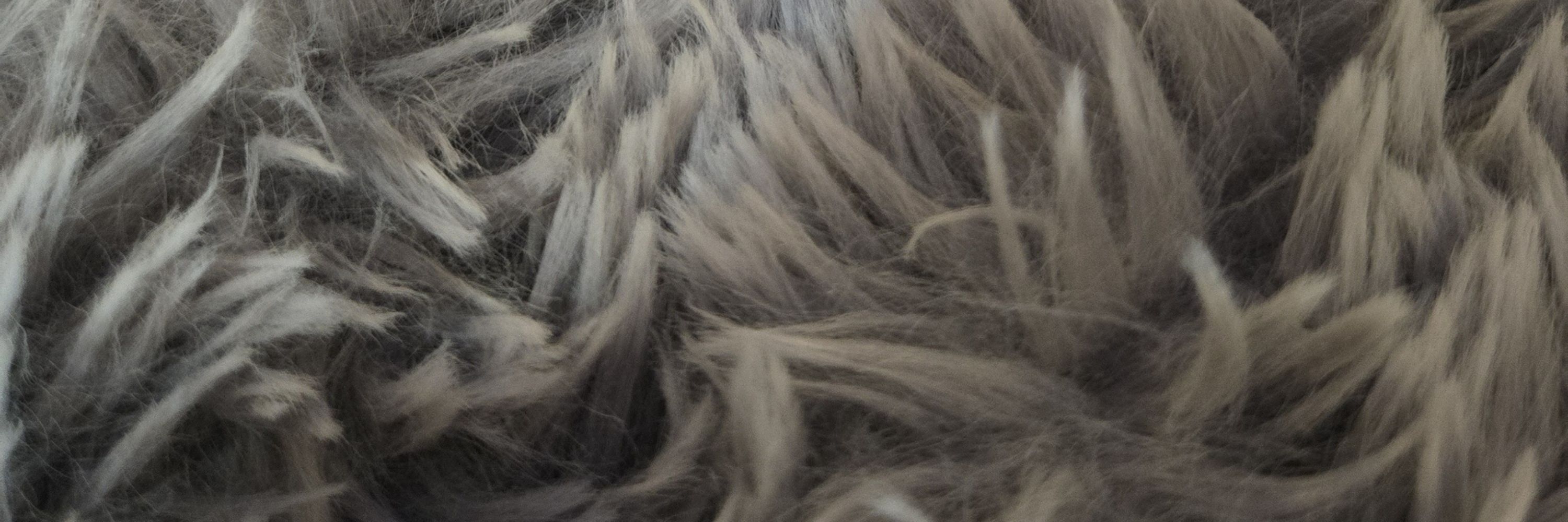 Van O. Possum