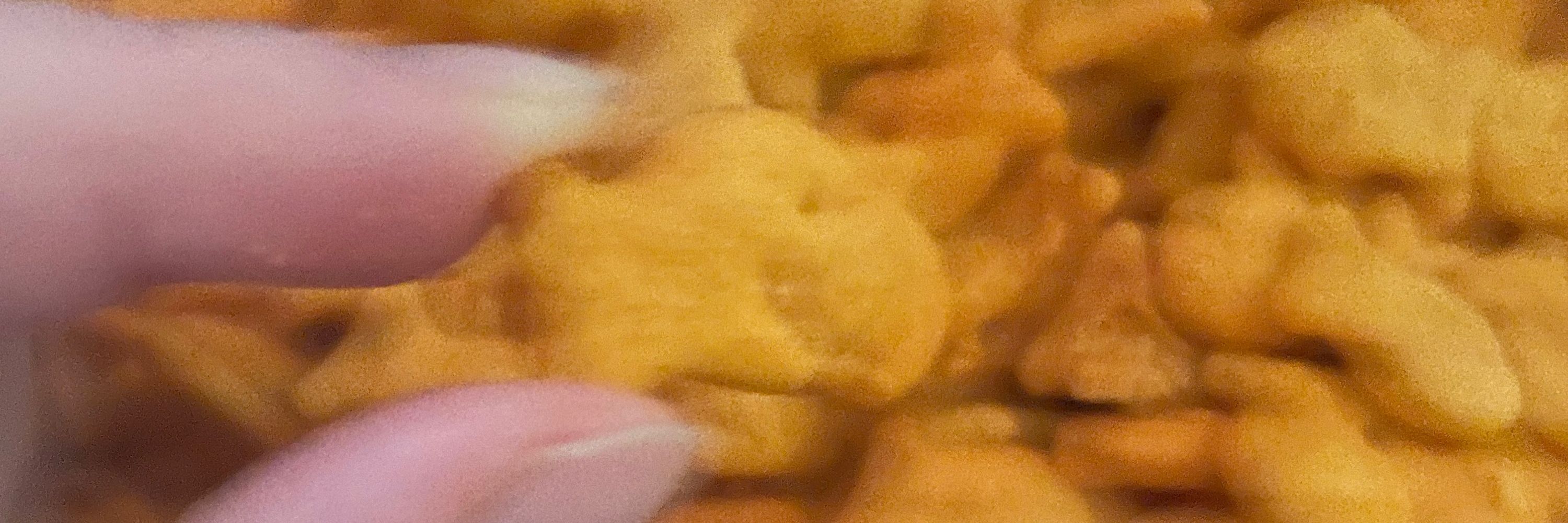 Shark burrito