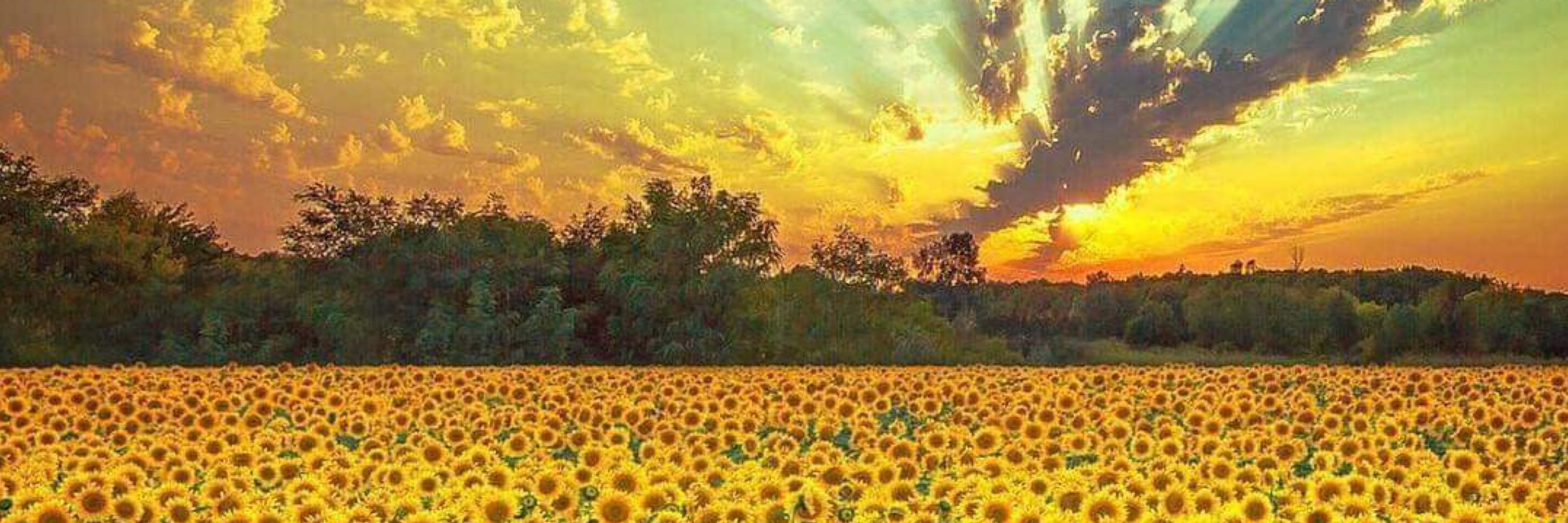 ✙Debbïe✙ 🍉🌻🇺🇦🌻🇺🇦
