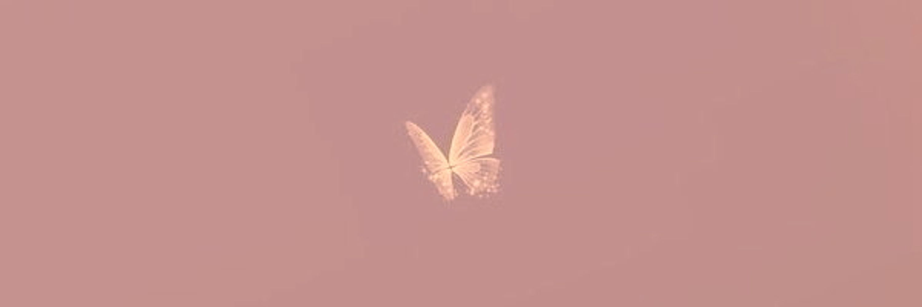 Alicia⸆⸉🦋