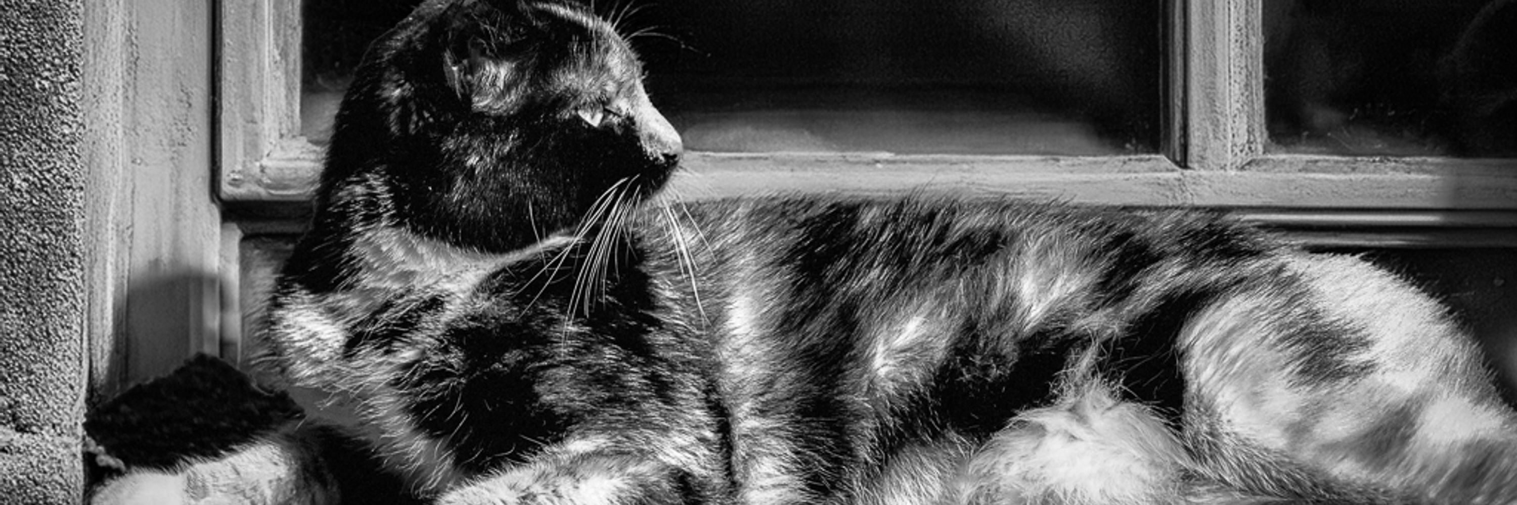 Elle Photography 