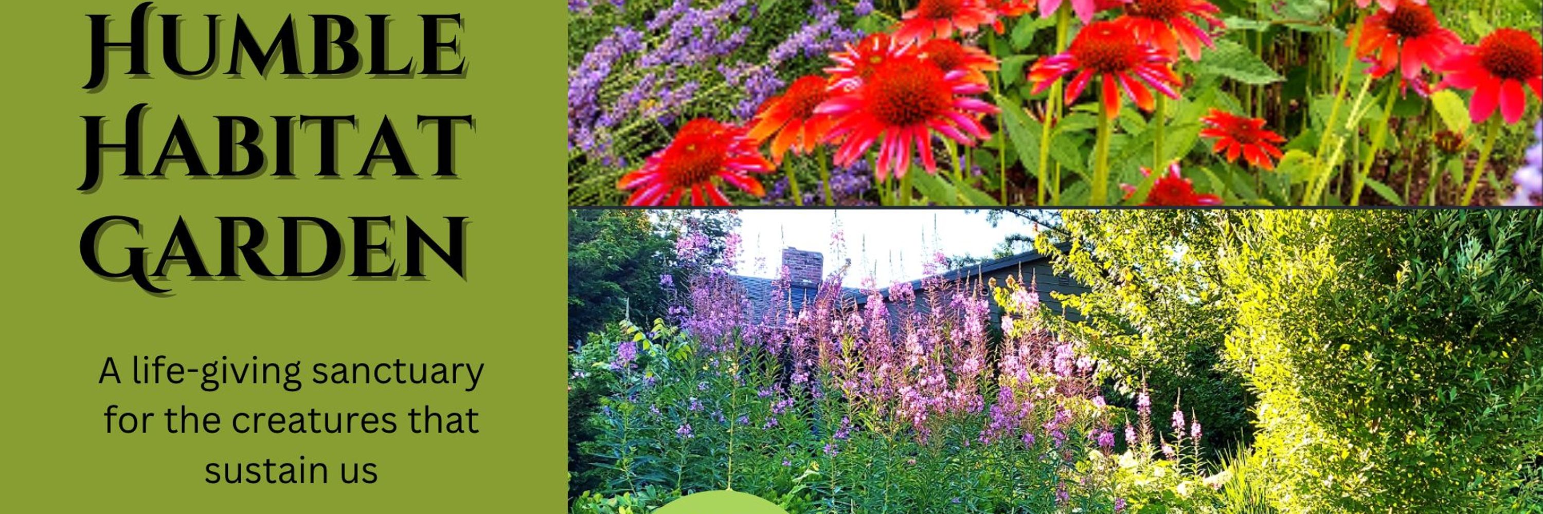 Humble Habitat Garden