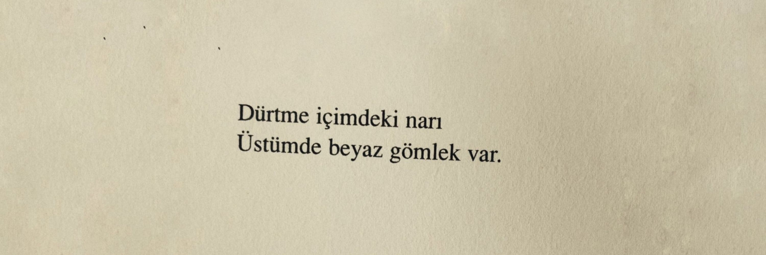 Nalan Turgutlu Bilgin