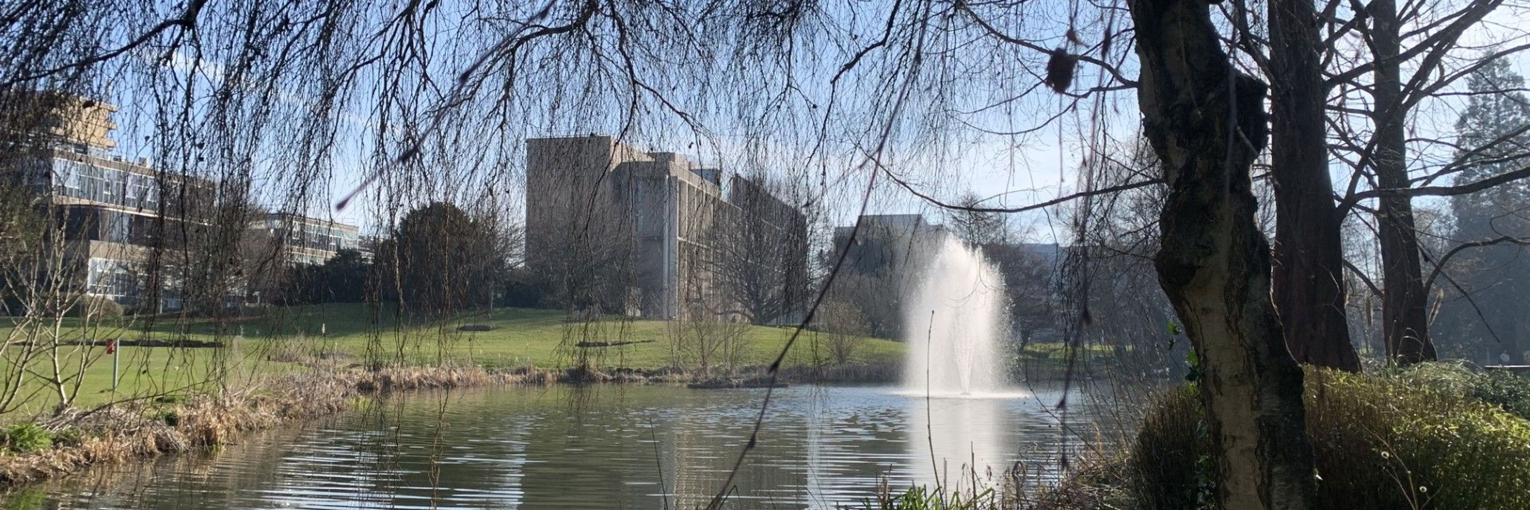 University of Bath Library Research Services