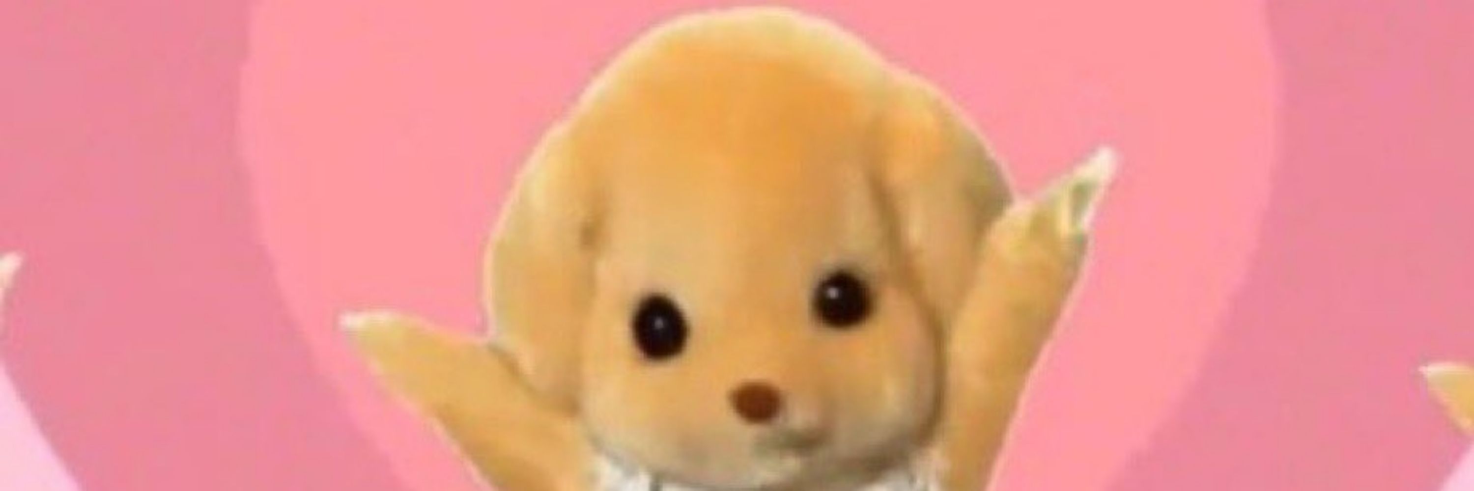 블친소팔받아주세요 녜