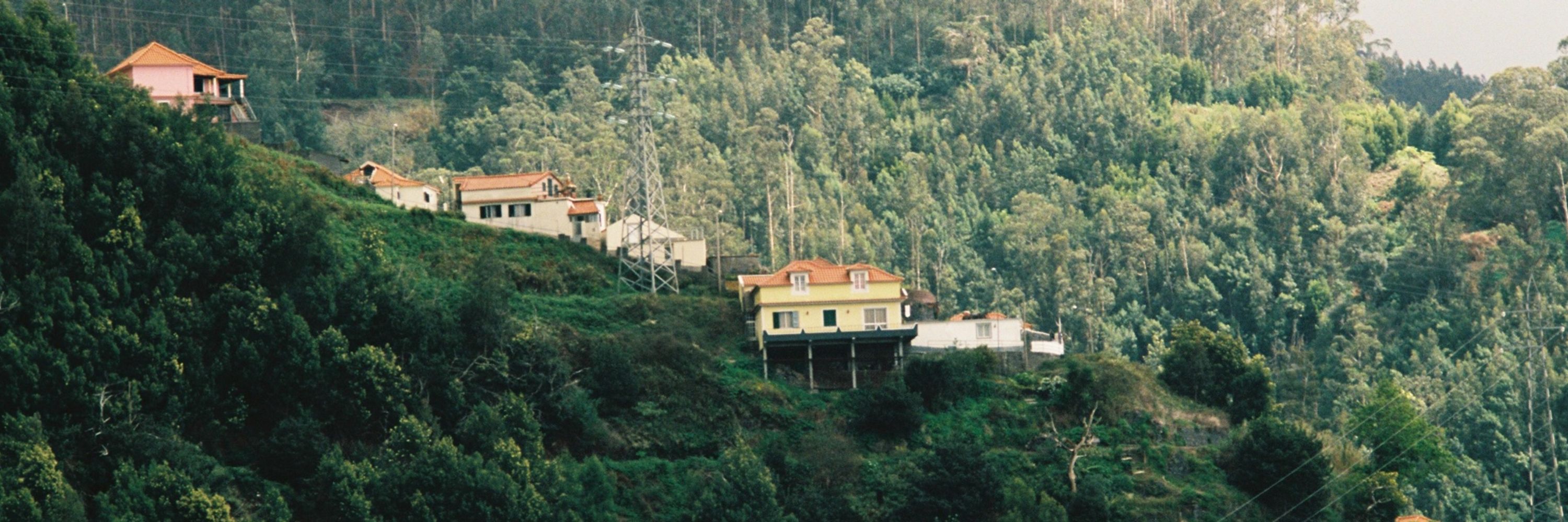 Ayşe Taktak