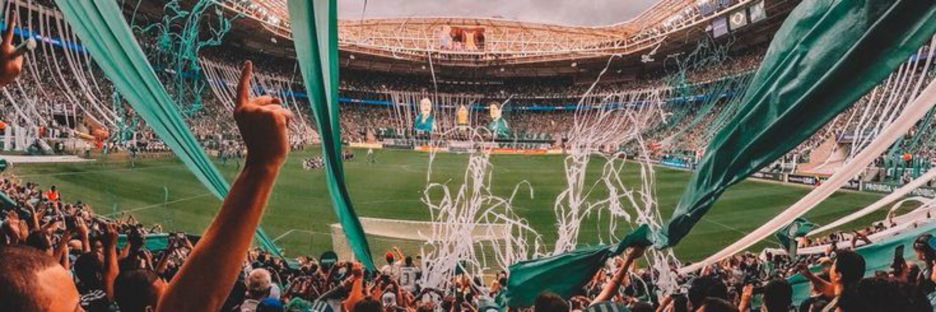 PalmeirenseDoido