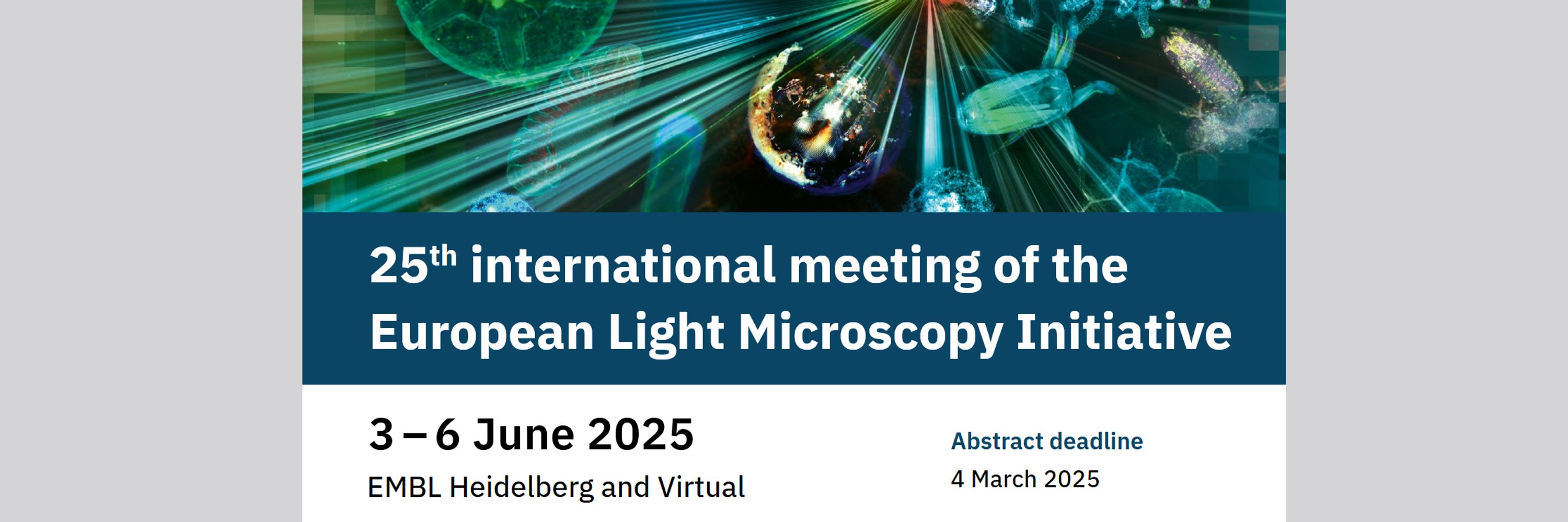 European Light Microscopy Initiative (ELMI)