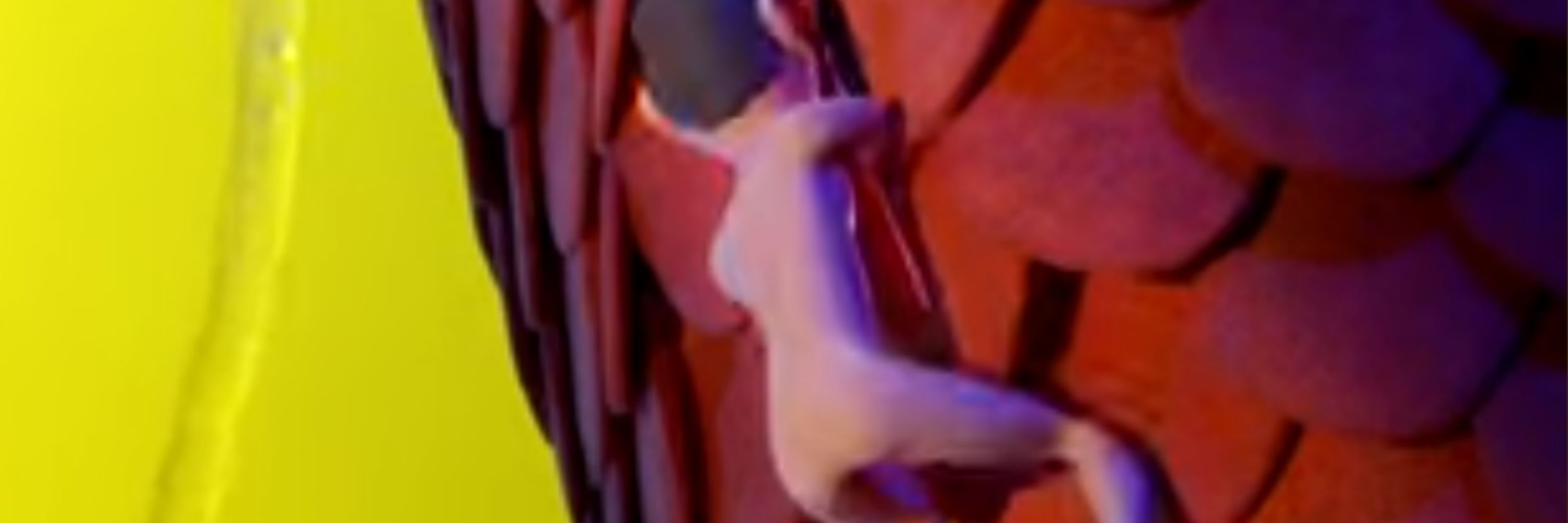 Clay 