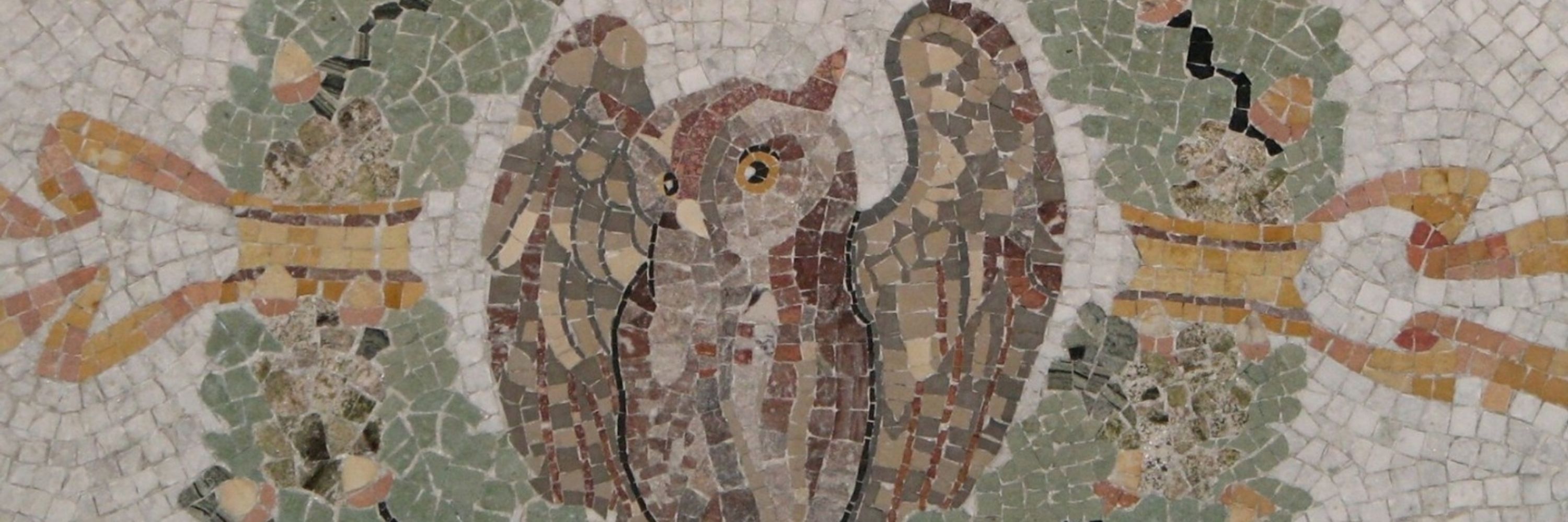 Noctua