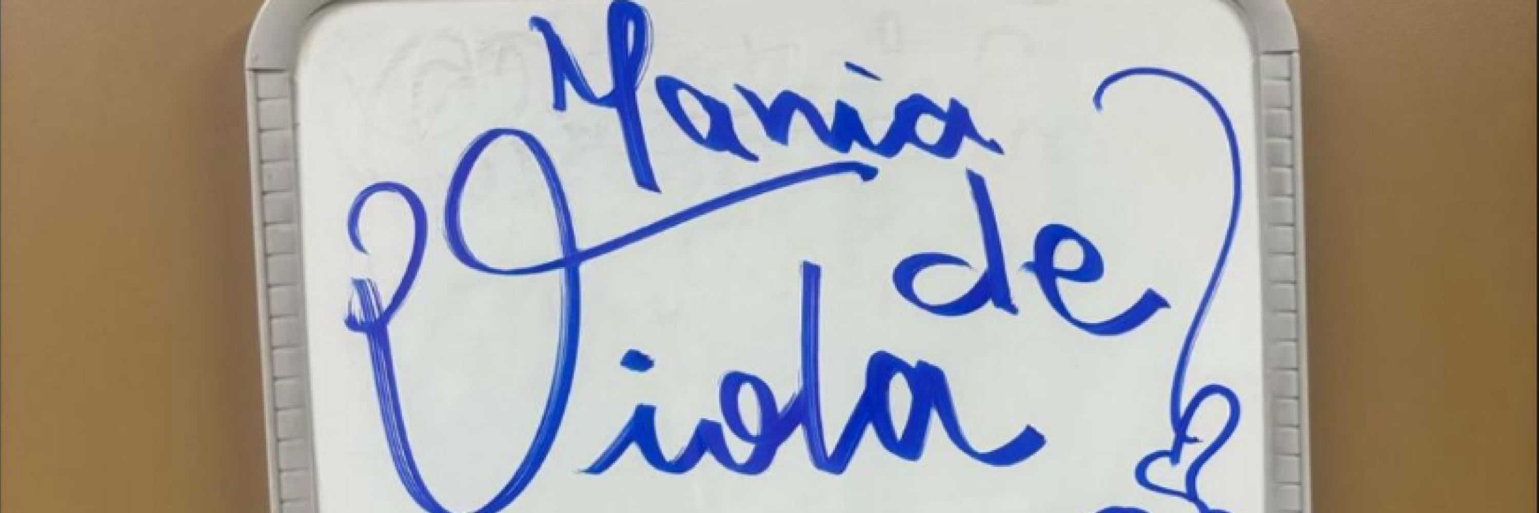 junior - jurídico Viola Dumas 