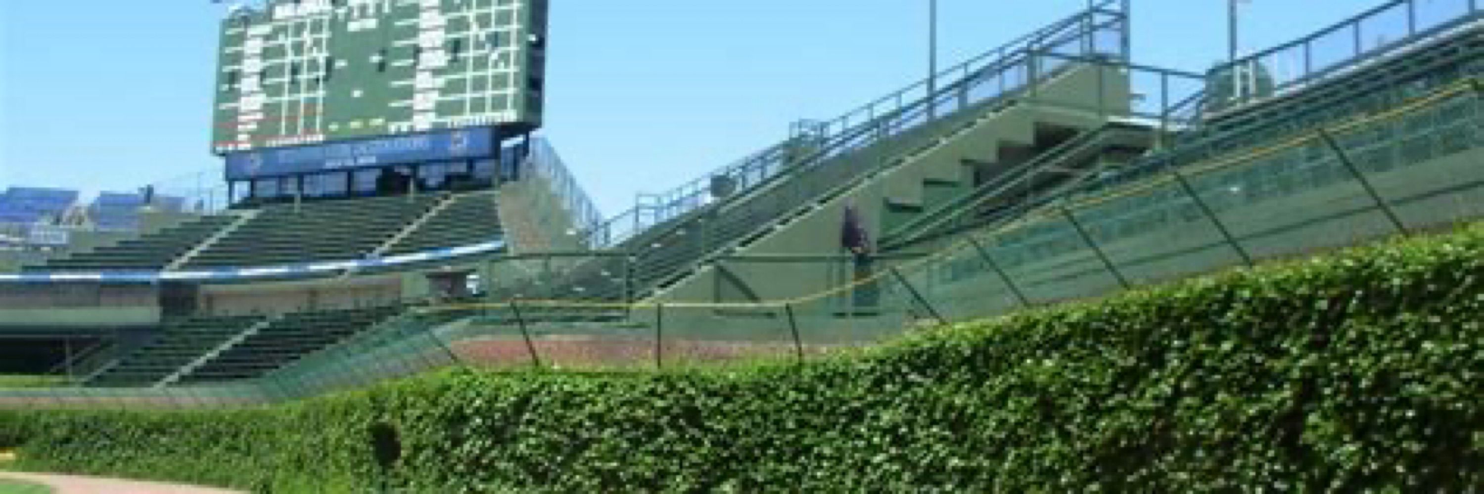 Cory - Confirmed Cubs Enthusiast