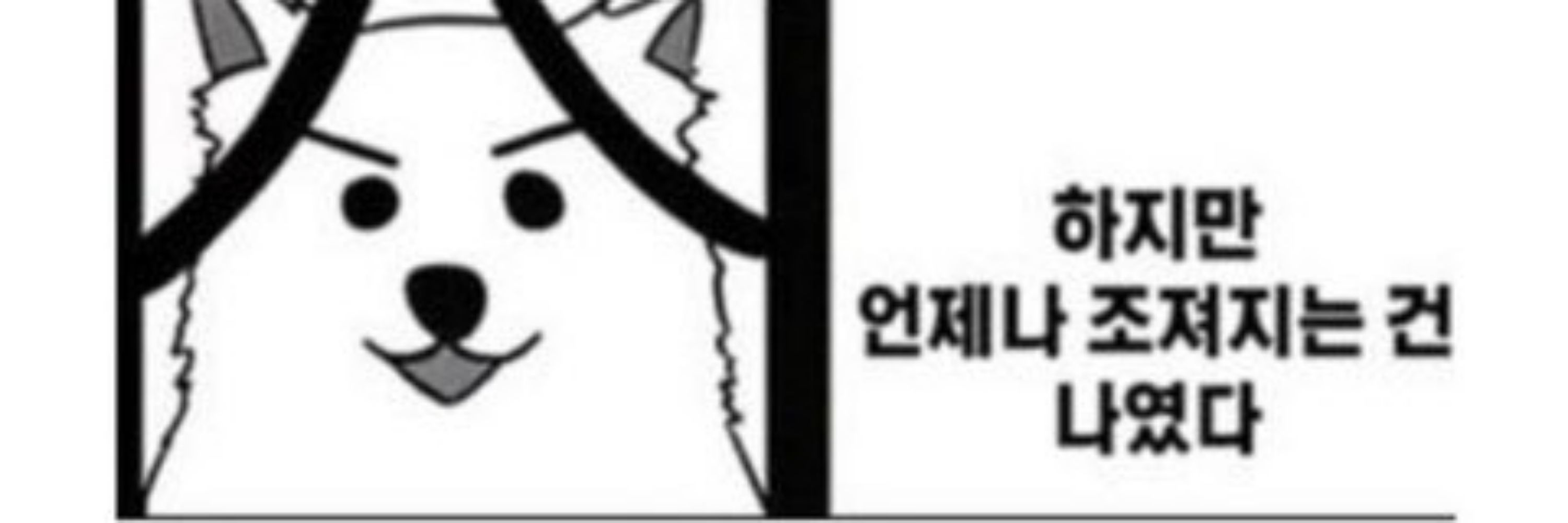 세이이치의 햇님