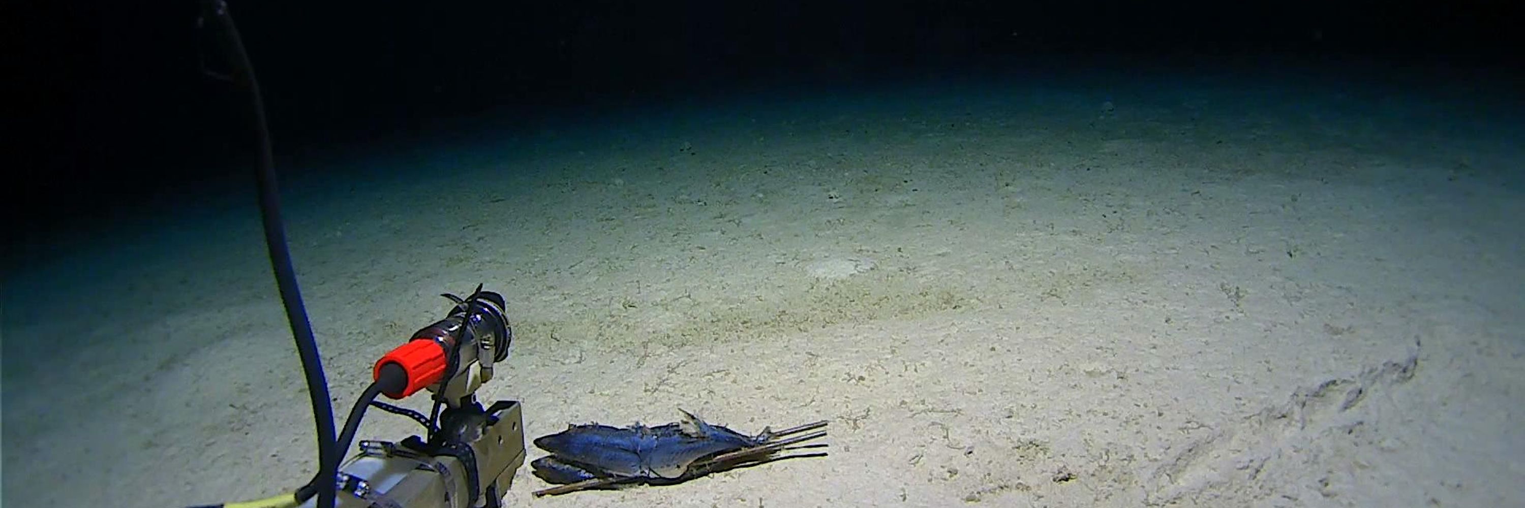 Minderoo UWA Deep-Sea Research Centre