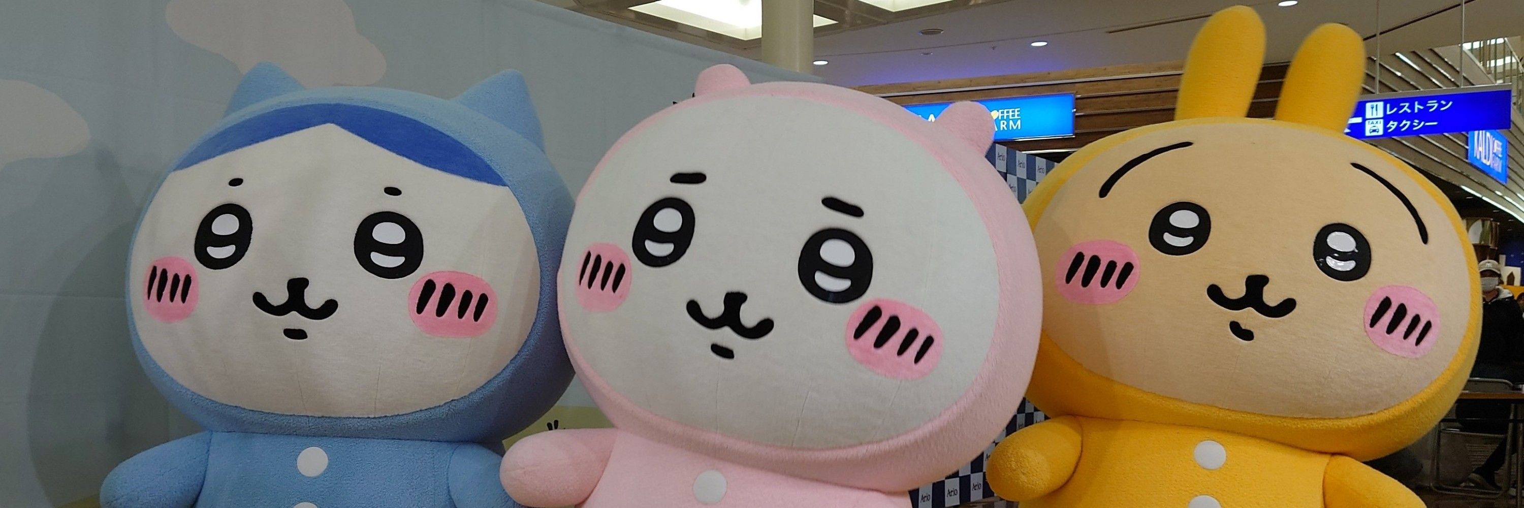 やまちゃん◢ こやちほ推し