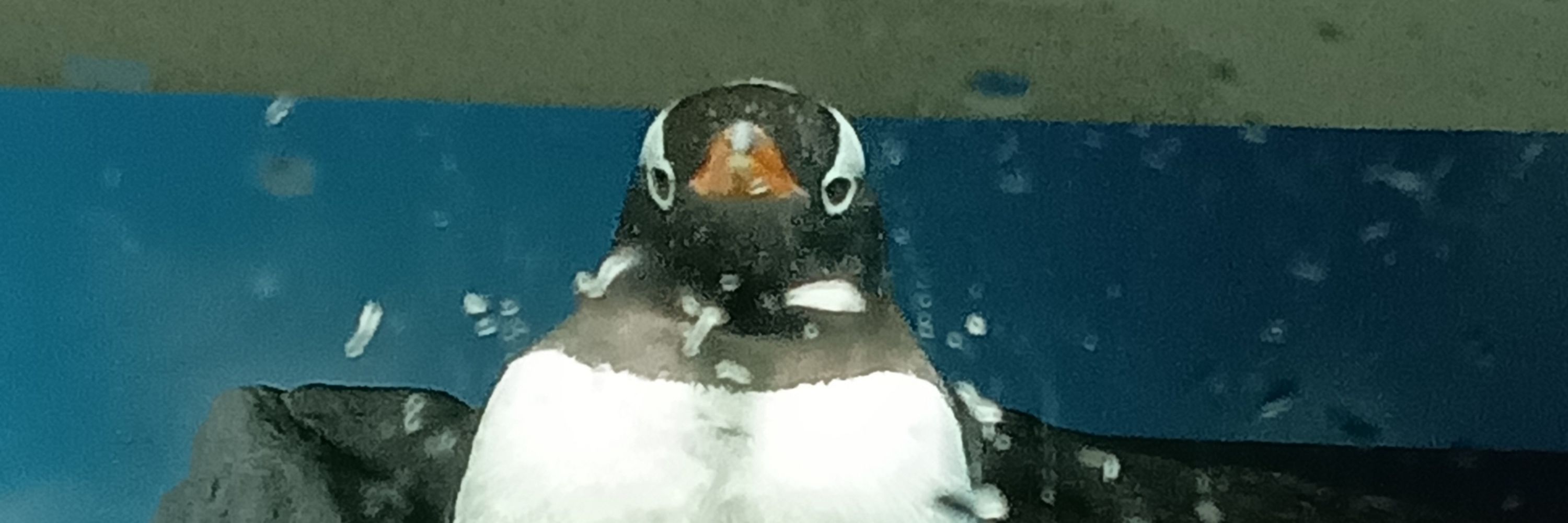 ばくさい