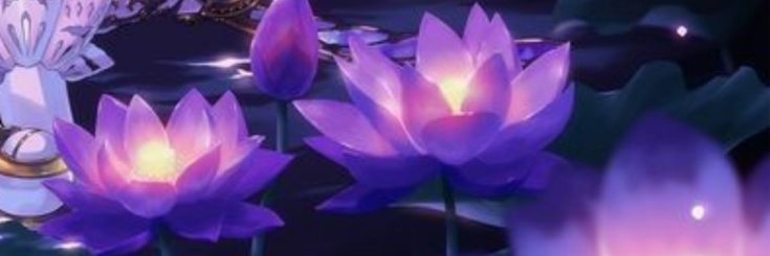 𖥻 🪻 ,, ᧞᰻ᥴꪮ 𓂃☼