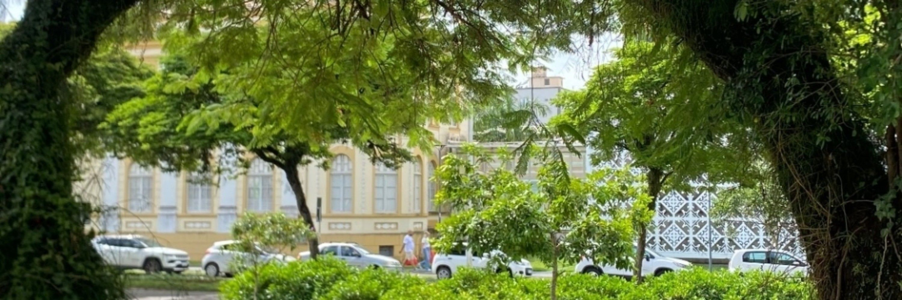 _veiga