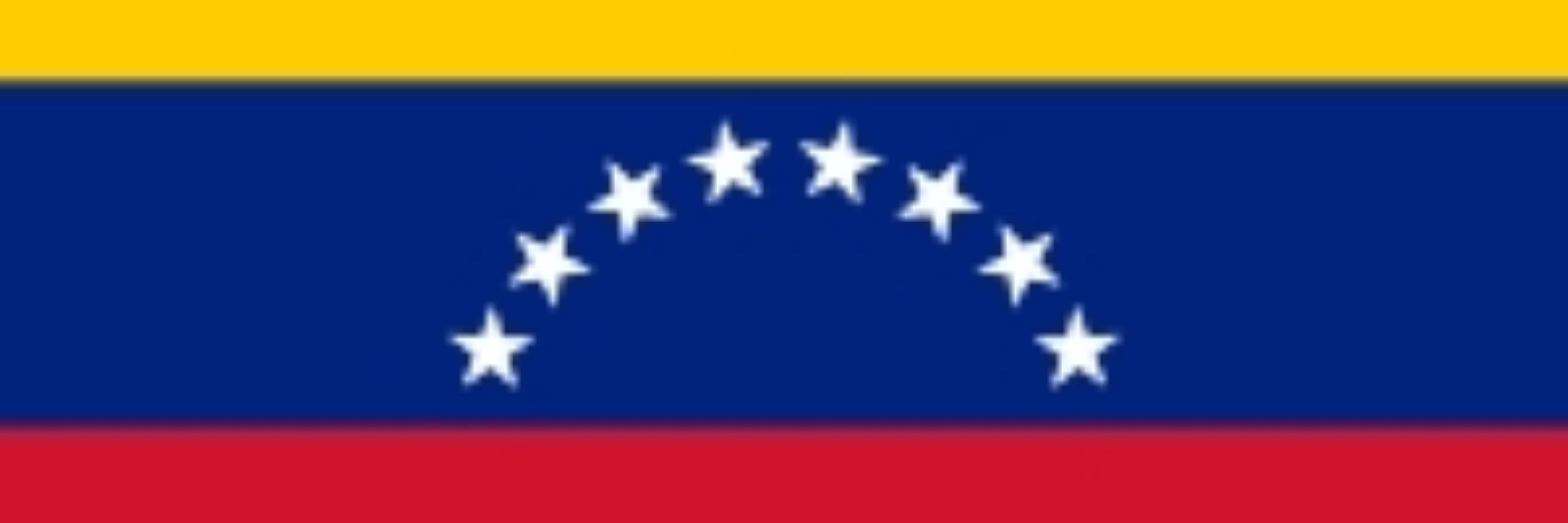 BearVenezolano