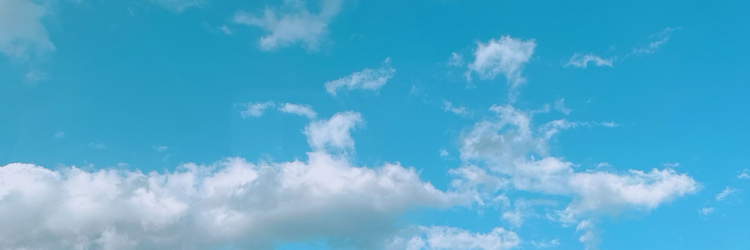 なつめ