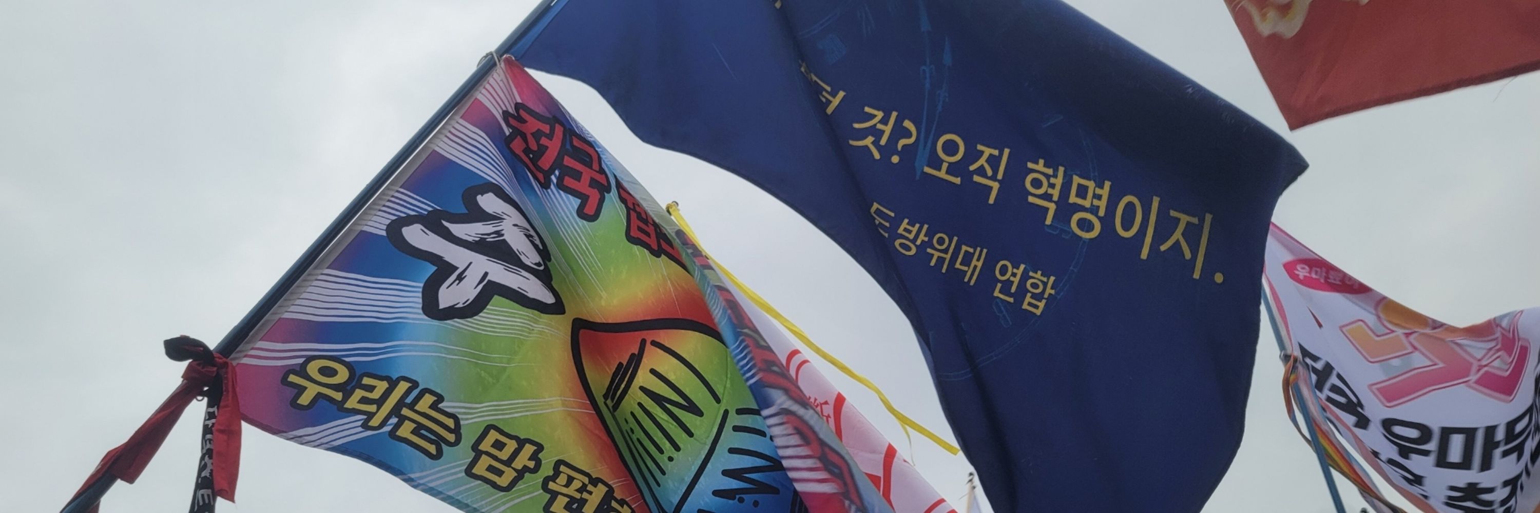 린덴비연