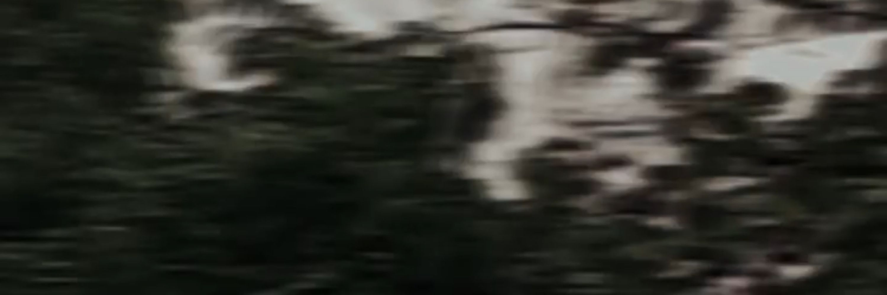 Rsk